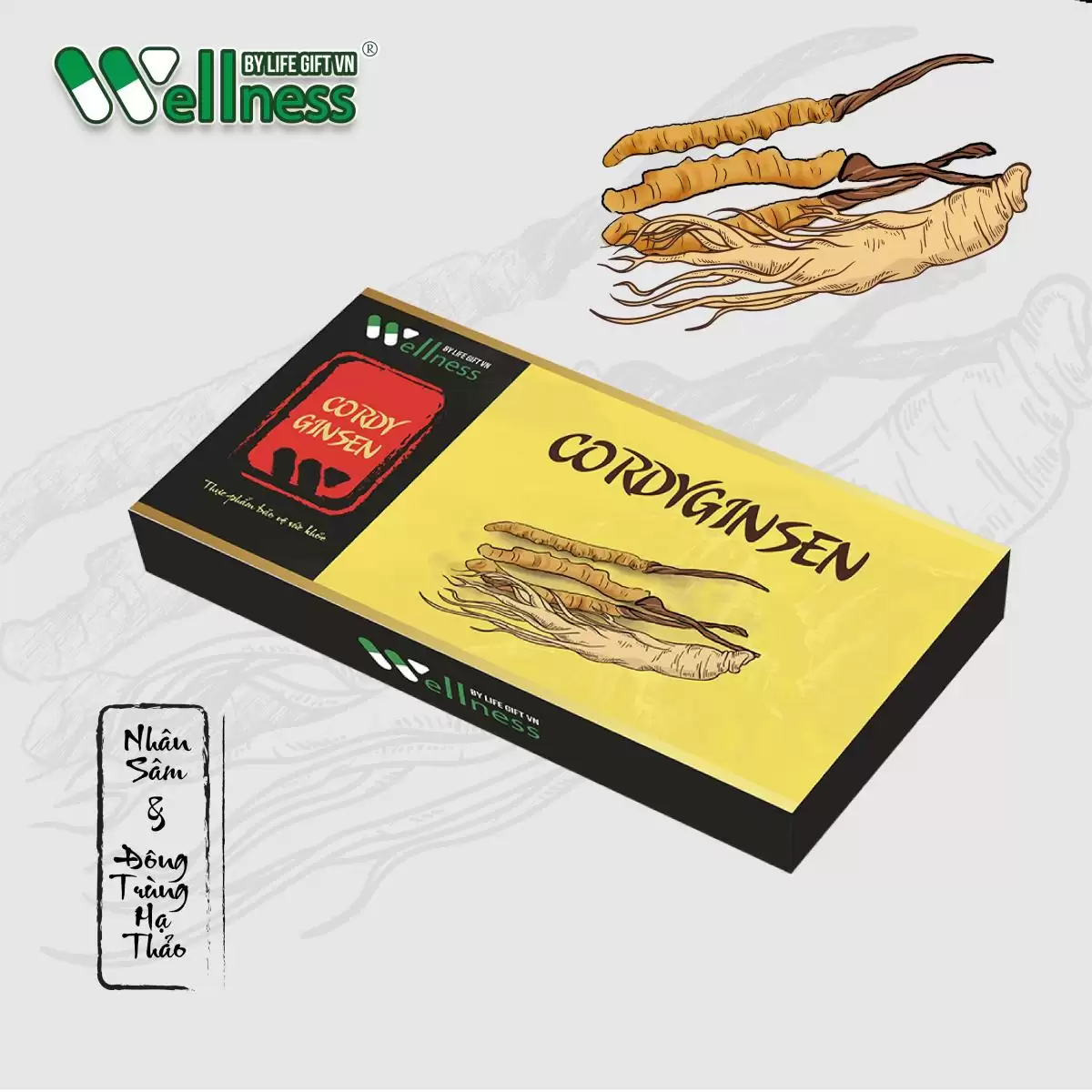 Cordyginsen - Sự Kết Hợp Giữa Cordyceps Và Ginseng