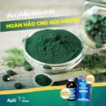 Tảo Spirulina Spimate Plus - Thực Phẩm Thiên Nhiên Hoàn Hảo Cho Mọi Người - 1Mall.vn