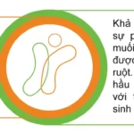 Men Vi Sinh Công Nghệ Bao Kép Thế Hệ Thứ 4 - 1Mall.vn