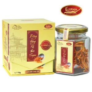 Đông trùng hạ thảo Sapa khô Elipha 10g chính hãng giá tốt - 1Mall.vn