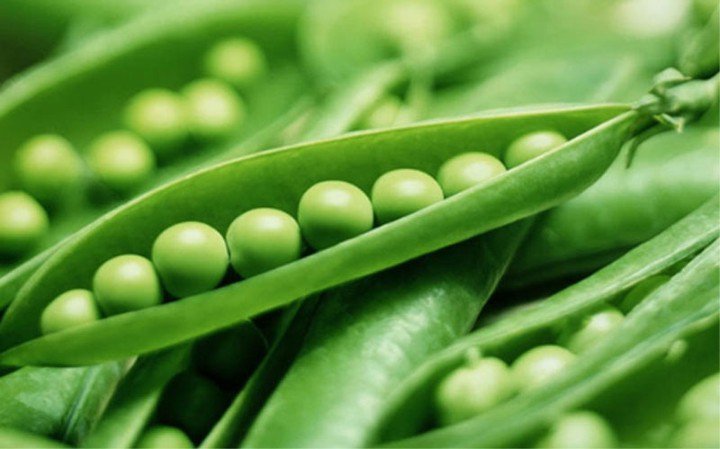 20200528_043319_947793_hat-dau-trang-co-to-max-1800x1800-1 Đậu Hà Lan cũng là một loại đậu trắng