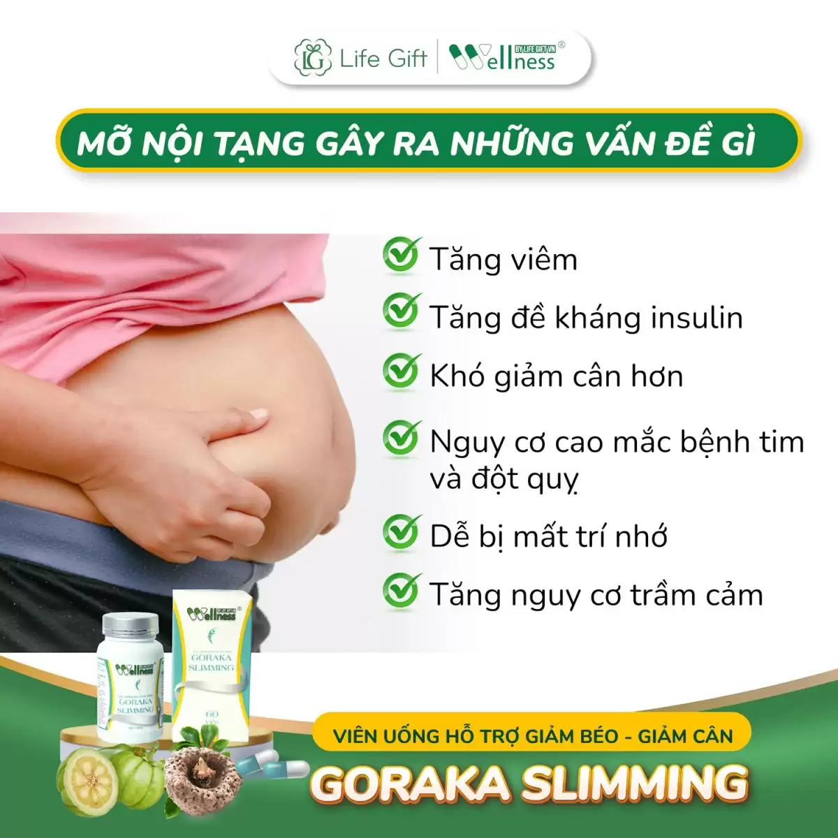 Mỡ Nội Tạng Gây Ra Vấn đề Gì - Goraka Slimming