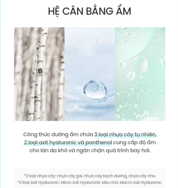 Hệ Cân Bằng ẩm Nước Tẩy Trang Beyond Angel Aqua Purifying Cleansing Water - 1Mall.vn