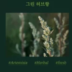 Kem Xả Tóc Beyond Healing Force Scalp Clinic Treatment Thuần Chay - 1Mall.vn